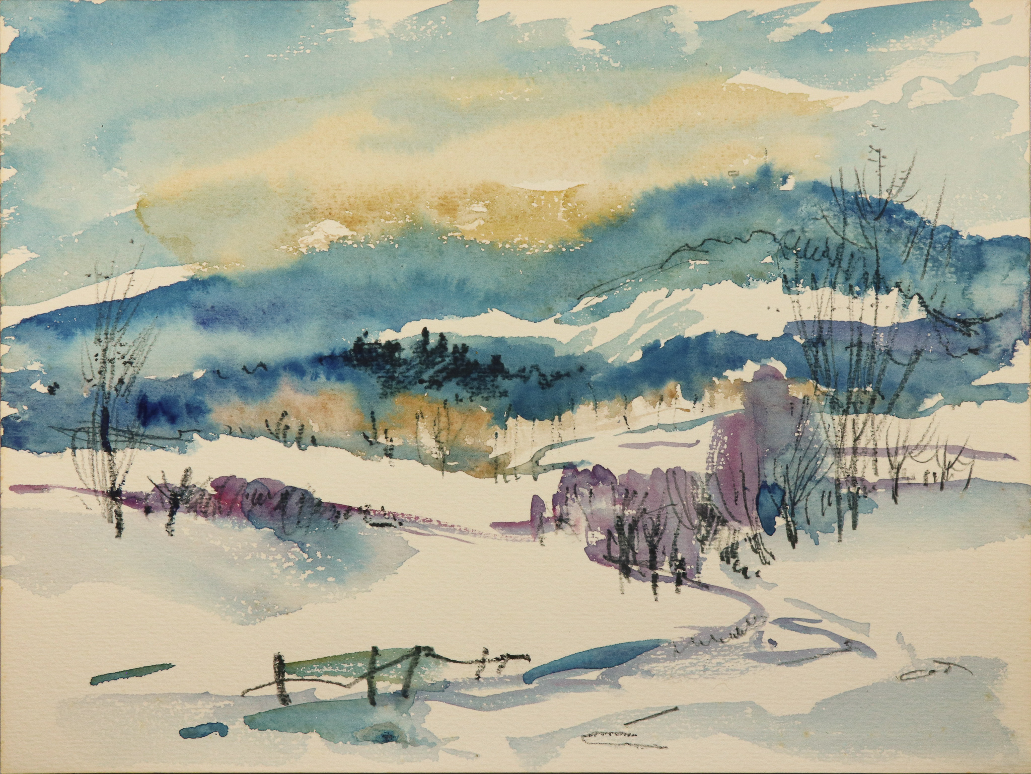 Wilde Wiesenlandschaft